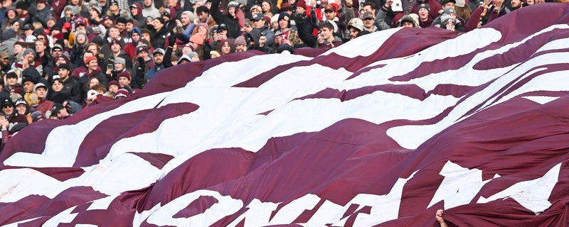 Portland State at Montana