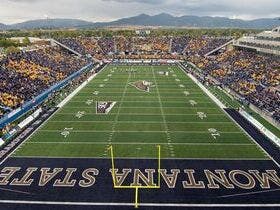 Montana State Bobcats Football at Bobcat Stadium - MT