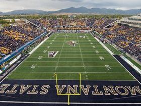 Montana State Bobcats Football