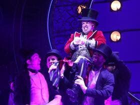 Al Hirschfeld Theatre home performer