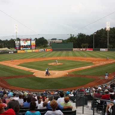 Promotional image of Myrtle Beach Pelicans