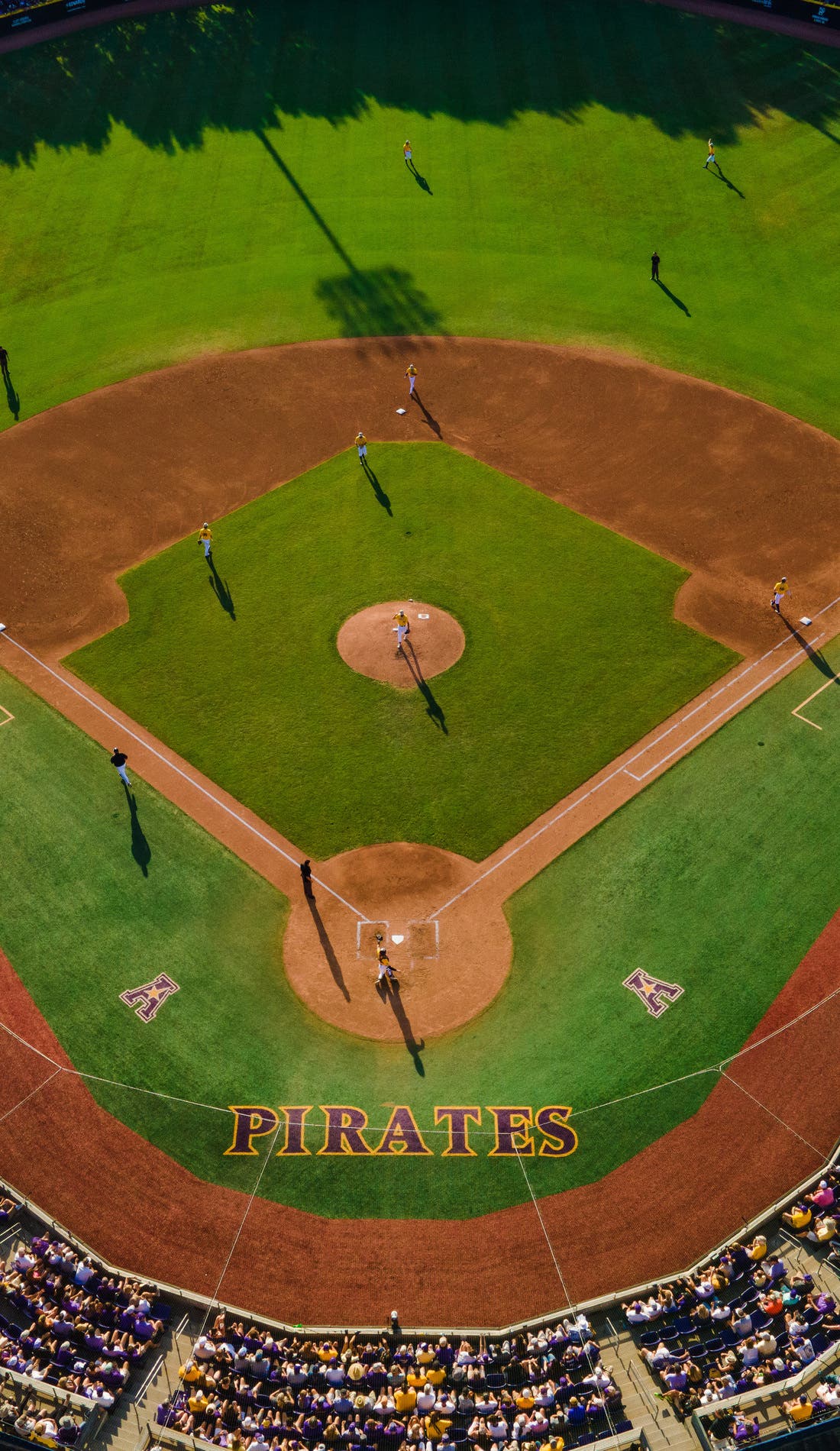 NCAA Baseball Greenville Regional promotional image for upcoming events and ticket sales