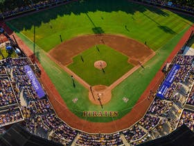 NCAA Baseball Greenville Regional