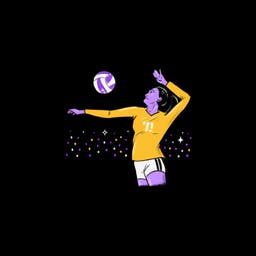 NCAA Womens Volleyball Championship