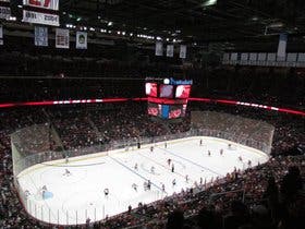 New Jersey Devils