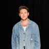 Niall Horan image