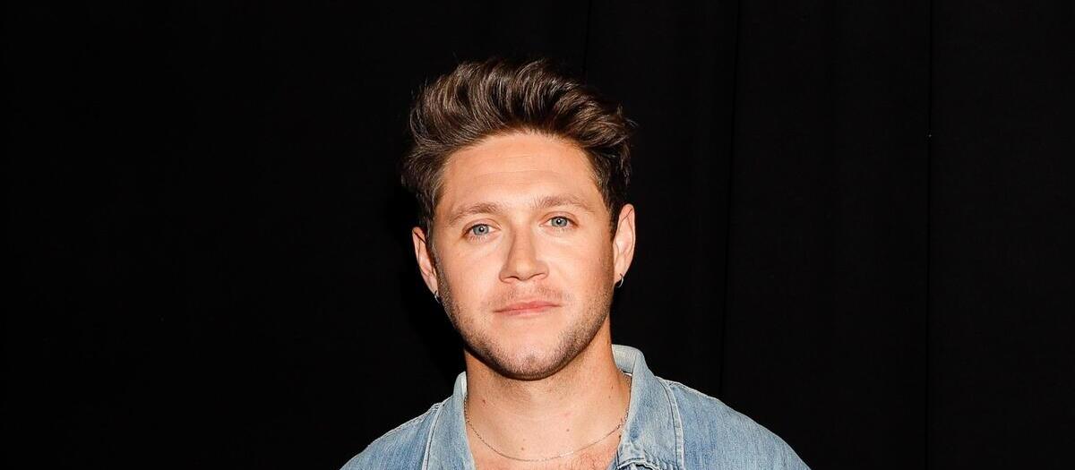 Niall Horan - TD Garden