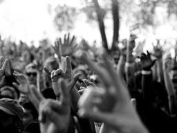 Niteharts Festival