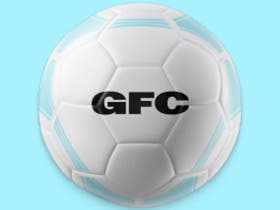 Gotham FC