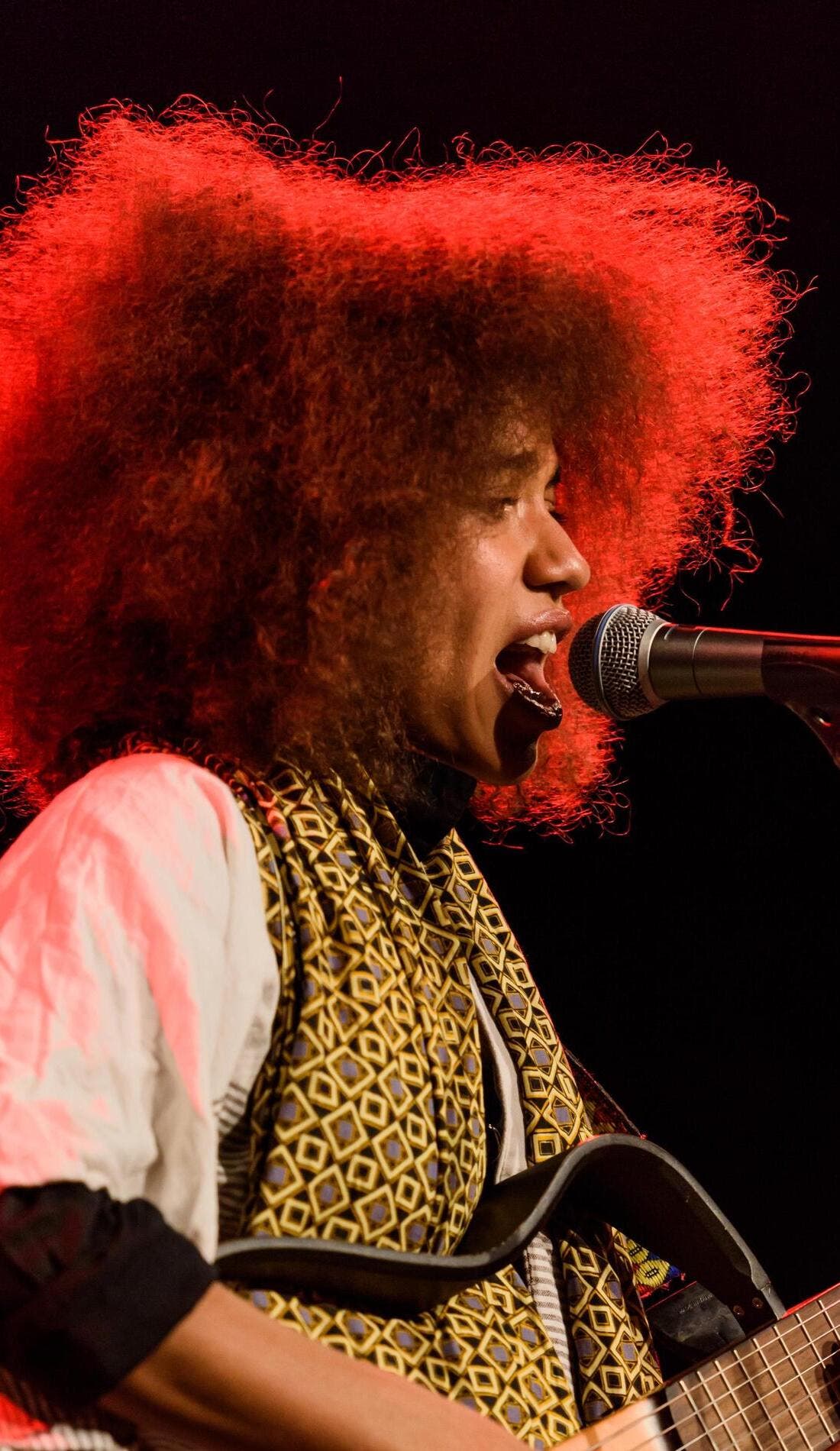 Nneka promotional image for upcoming events and ticket sales