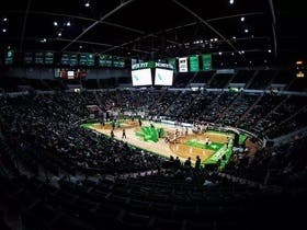 North Texas Mean Green Mens Basketball at UNT Coliseum (Super Pit)