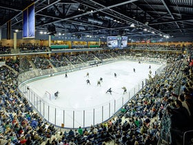 Notre Dame Fighting Irish Mens Hockey