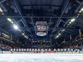 Notre Dame Fighting Irish Mens Hockey