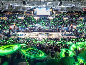 Notre Dame Fighting Irish Womens Basketball