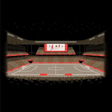 Promotional image of NWSL Championship