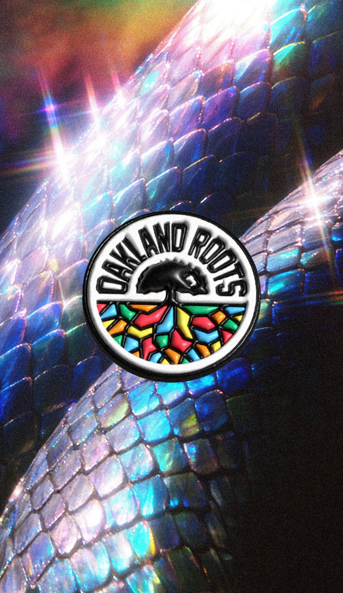 Oakland Roots SC promotional image for upcoming events and ticket sales