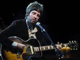 Oasis