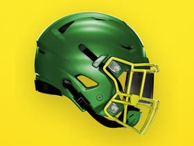 seatgeek helmet