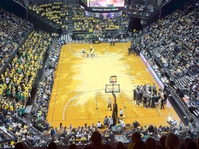 Oregon Ducks Mens Basketball