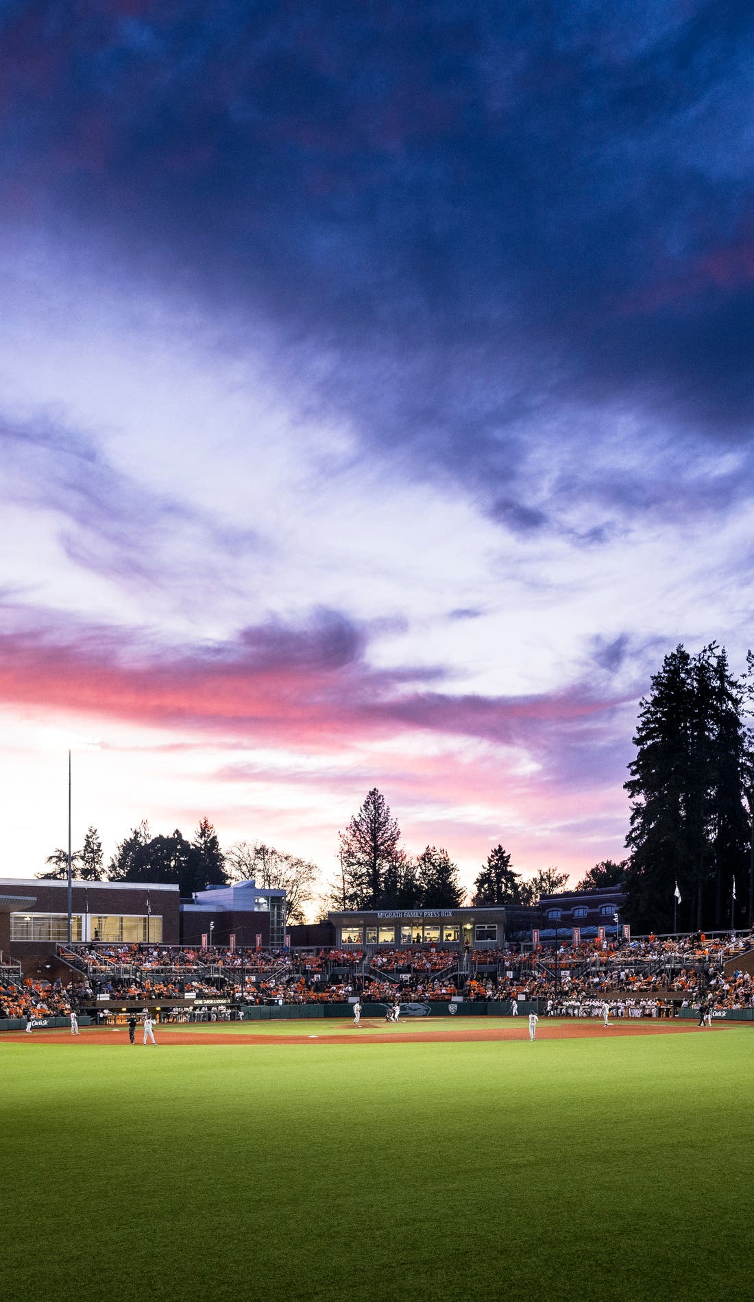 Oregon State Beavers Baseball promotional image for upcoming events and ticket sales