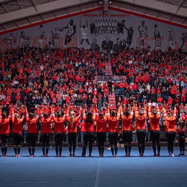 Oregon State Beavers Womens Gymnastics Tickets 