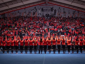 Oregon State Beavers Womens Gymnastics