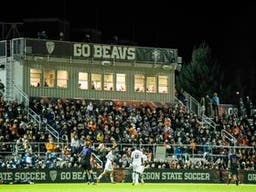 Oregon State Beavers Womens Soccer