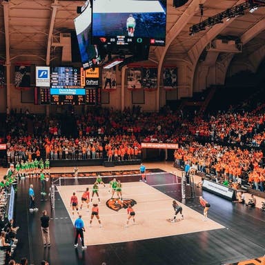 Oregon State Beavers Womens Volleyball Tickets 