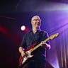 Oz Noy image