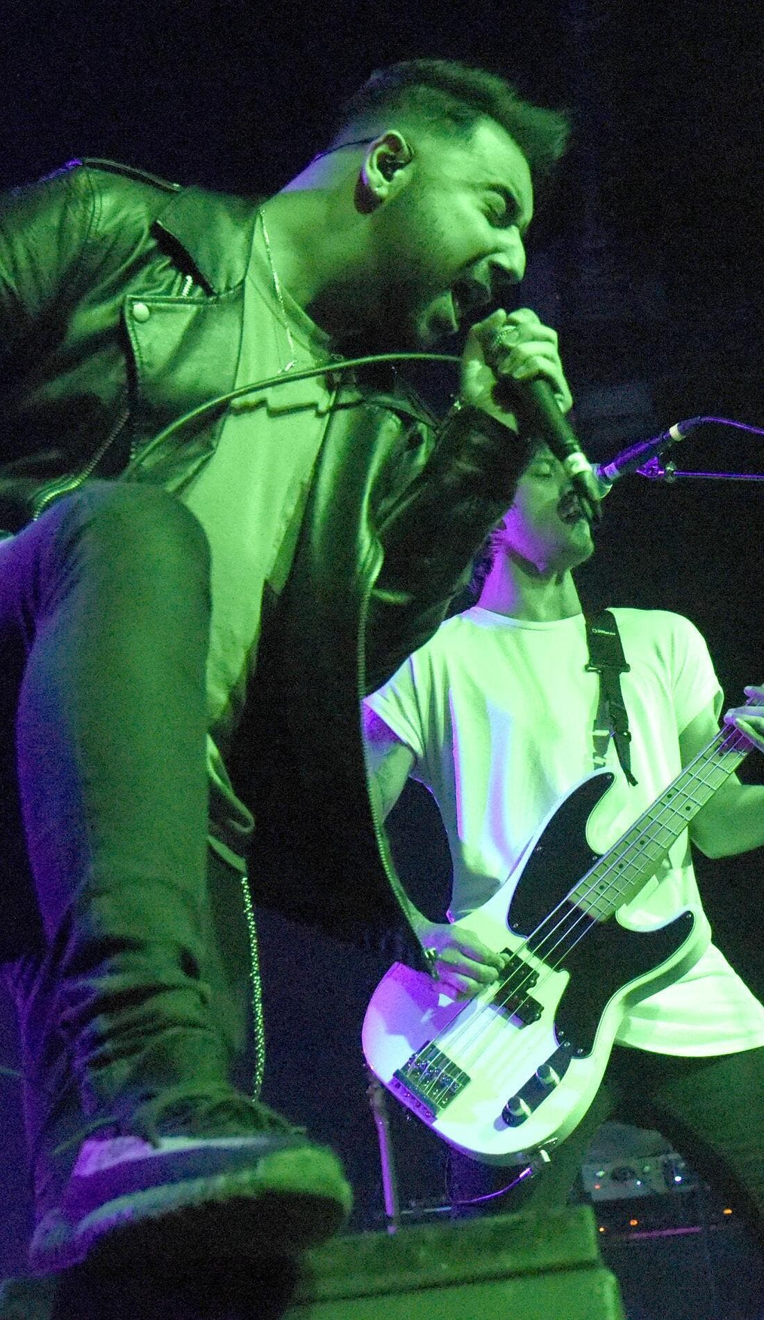 Palisades promotional image for upcoming events and ticket sales