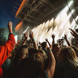 Palm Tree Music Festival