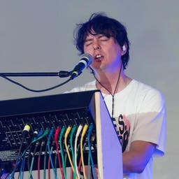 Panda Bear