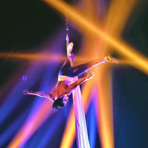 Paranormal Cirque II