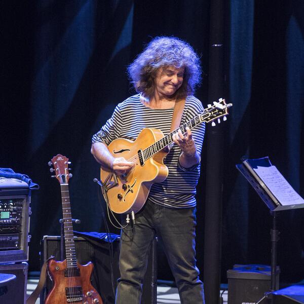 Pat Metheny image