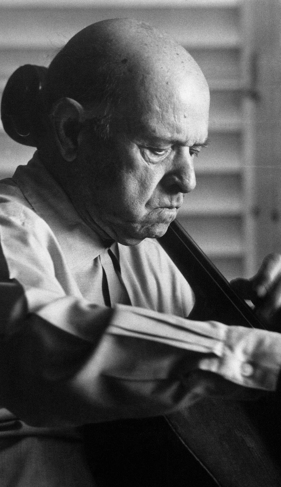 Pau Casals promotional image for upcoming events and ticket sales