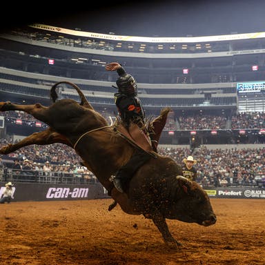 Promotional image of PBR - Professional Bull Riders