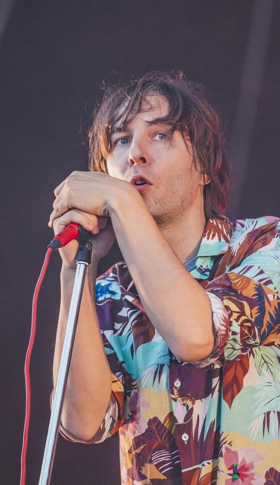 Phoenix - The Band promotional image for upcoming events and ticket sales