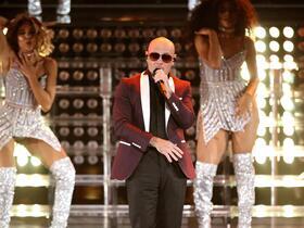 Pitbull