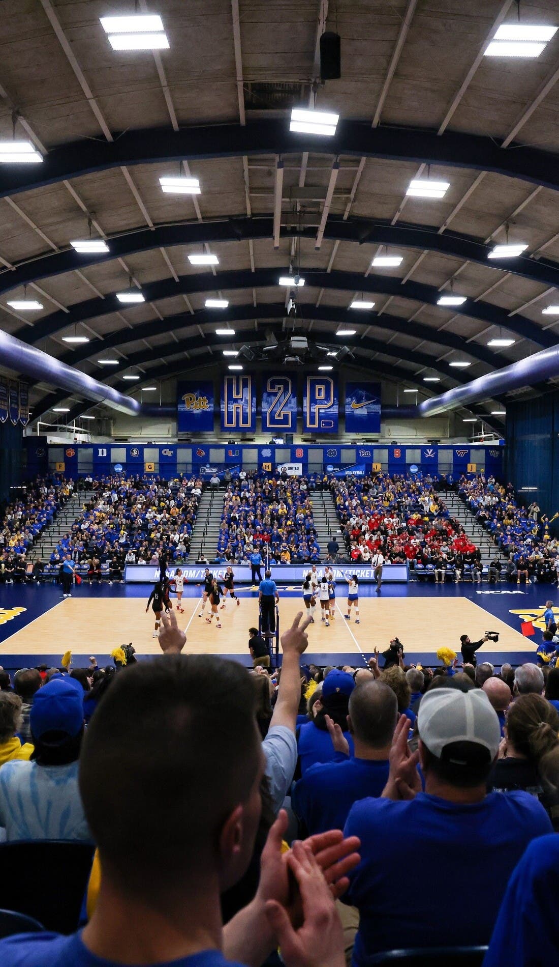Pittsburgh Panthers Womens Volleyball promotional image for upcoming events and ticket sales