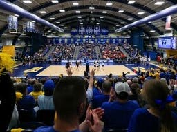 Pittsburgh Panthers Womens Volleyball