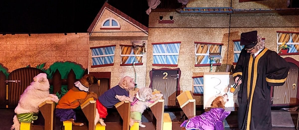 Popovich Comedy Pet Theater live — Lied Center, Lawrence