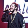 Post Malone image