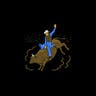 Poway Rodeo