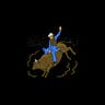 PRCA Rodeo
