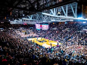 Providence Friars Mens Basketball