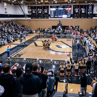 Purdue Boilermakers Womens Volleyball Tickets