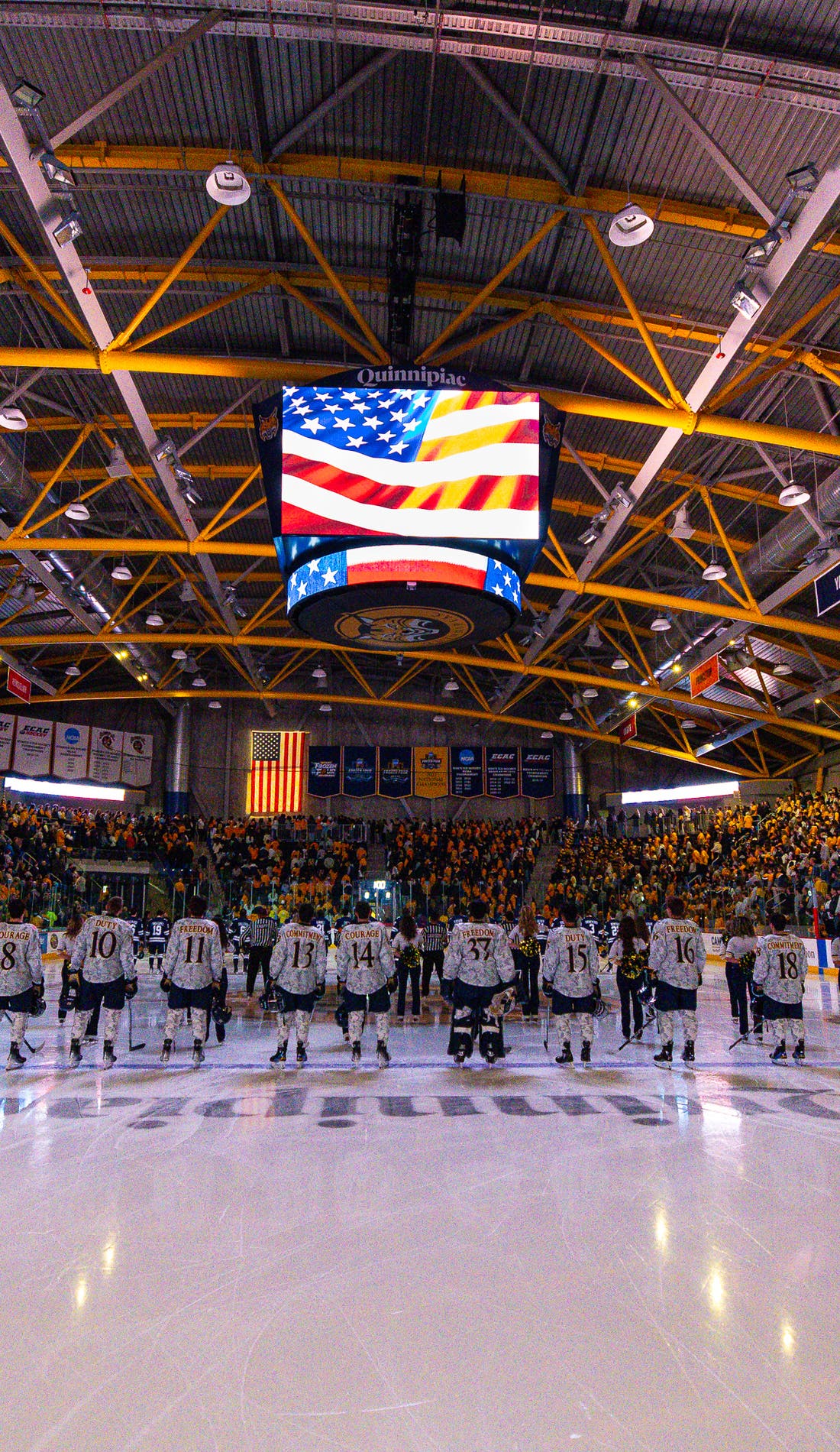 Quinnipiac Bobcats Womens Hockey promotional image for upcoming events and ticket sales
