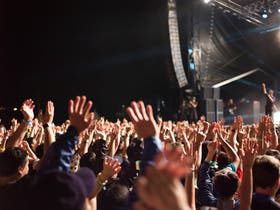 The Red Mile home performer