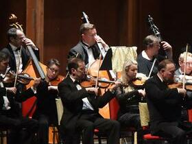Reading Symphony Orchestra - Reading concert image