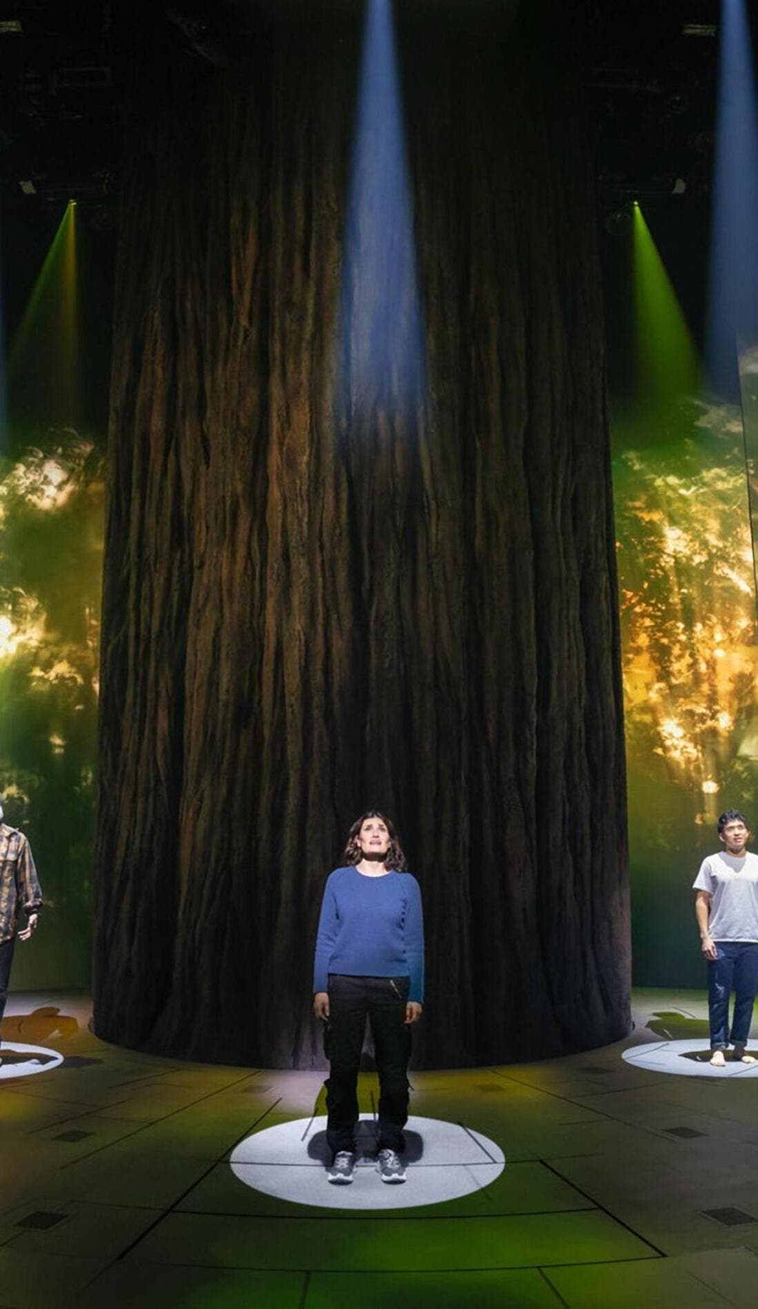 Redwood promotional image for upcoming events and ticket sales